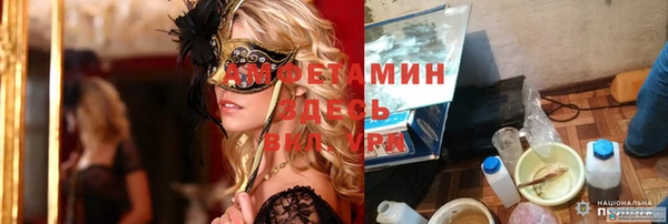 стафф Алексин
